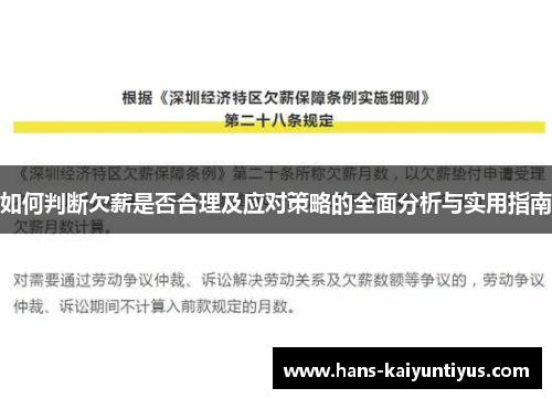 如何判断欠薪是否合理及应对策略的全面分析与实用指南