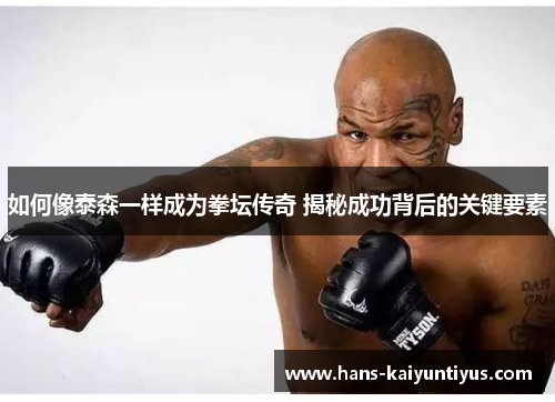如何像泰森一样成为拳坛传奇 揭秘成功背后的关键要素