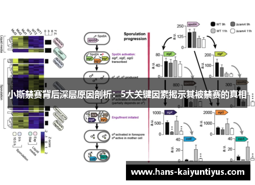 小斯禁赛背后深层原因剖析：5大关键因素揭示其被禁赛的真相