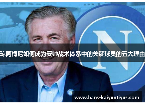 琼阿梅尼如何成为安帅战术体系中的关键球员的五大理由